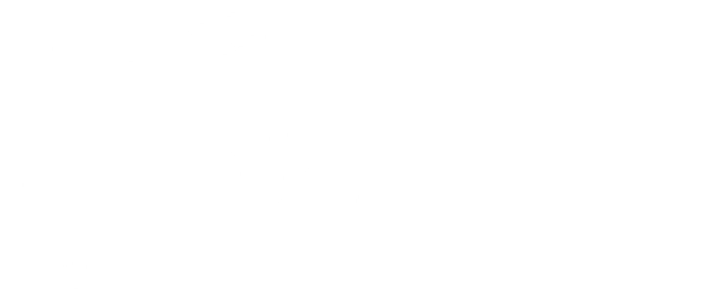 P&F Logo - 2021 - white - trans